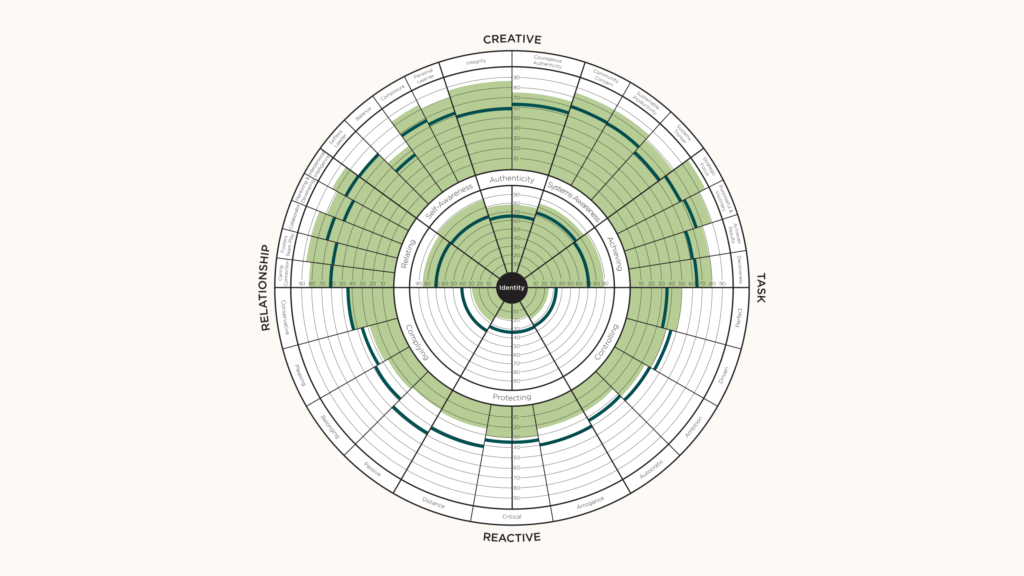 Leadership Circle Profile