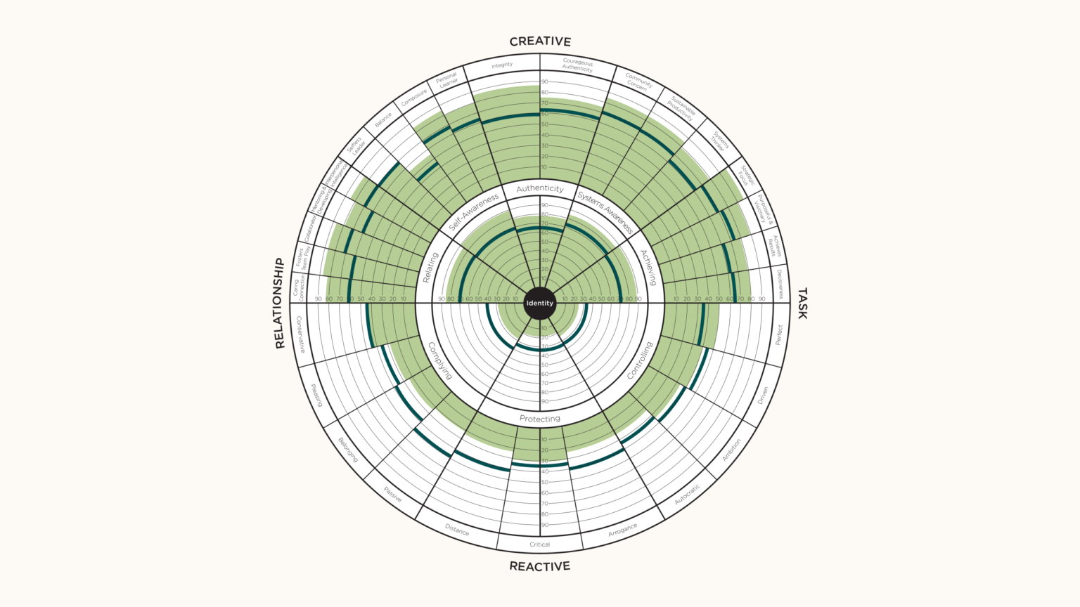 Leadership Circle Profile