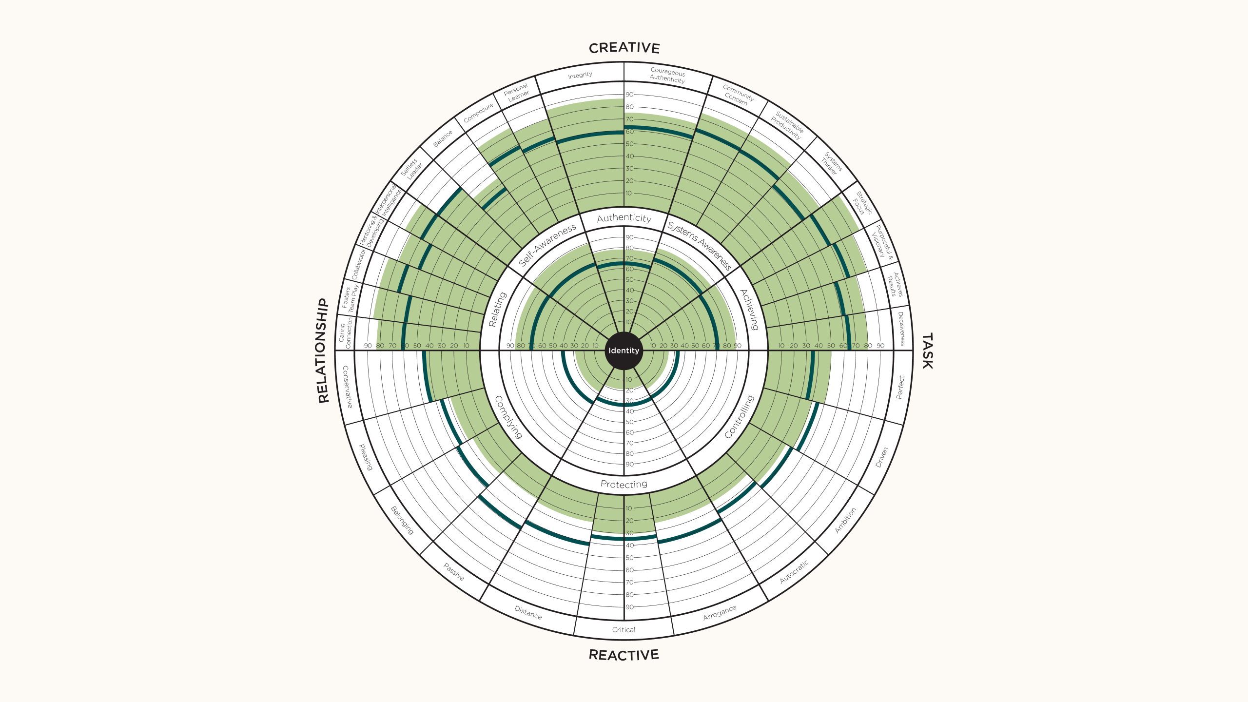 Leadership Circle Profile